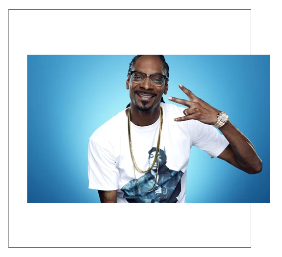 Successful stoners Snoop Dogg